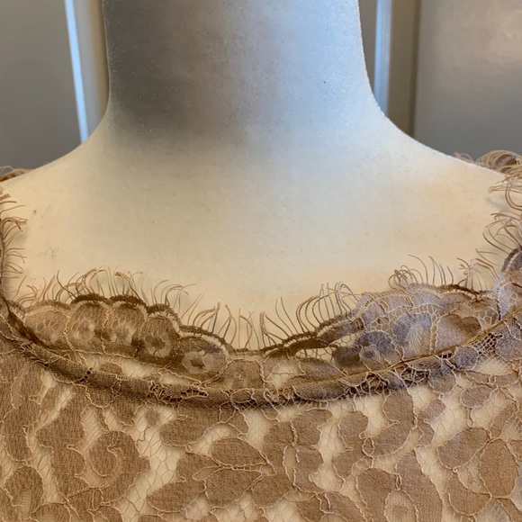 Joie Lace Top! - Picture 5 of 8